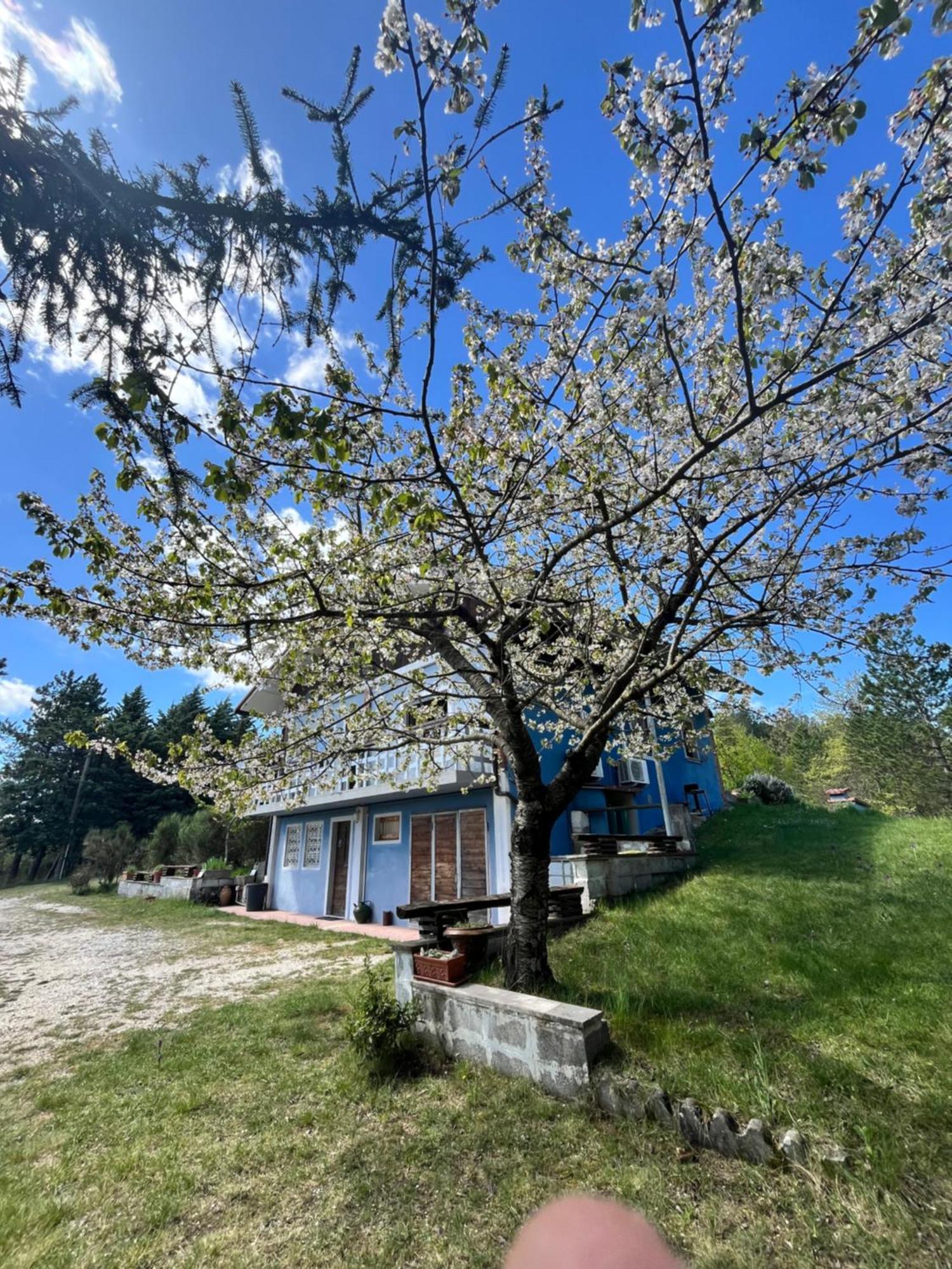 Chalet Ricciano フォリーニョ エクステリア 写真