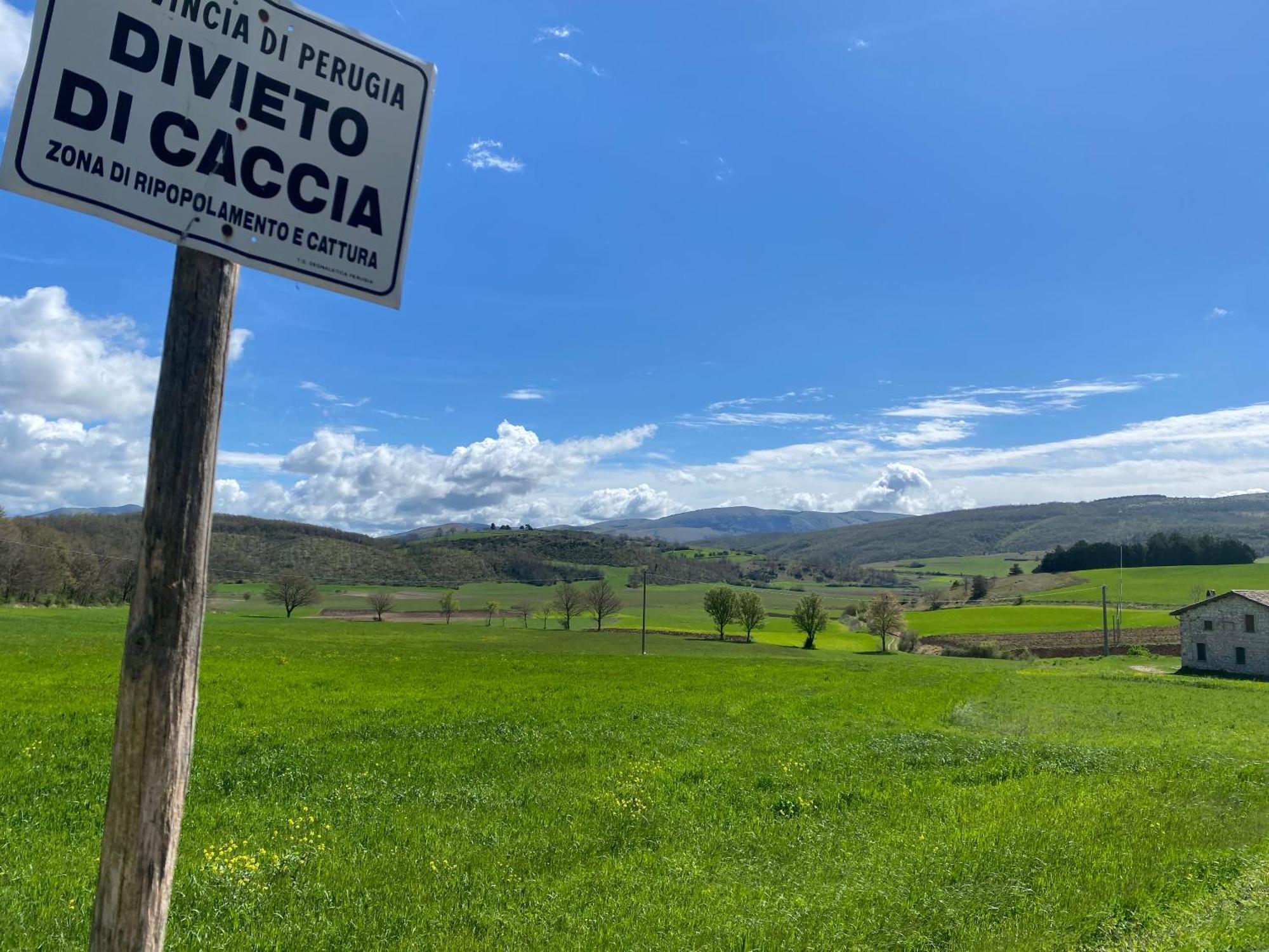 Chalet Ricciano フォリーニョ エクステリア 写真